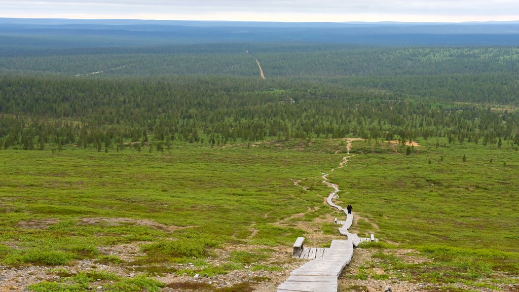 Upper Lapland which includes tranquil scenes and landscape views