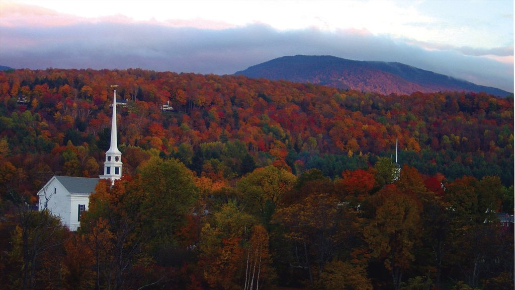 Stowe que incluye escenas tranquilas, vista panorámica y hojas de otoño