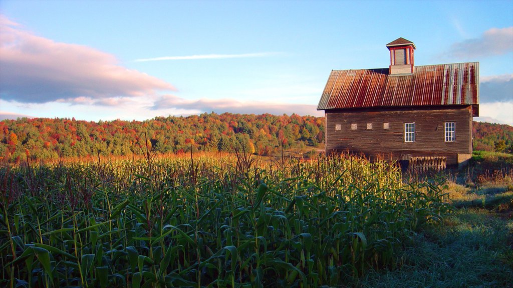 Stowe som omfatter et hus, landbrugsområde og efterårsblade