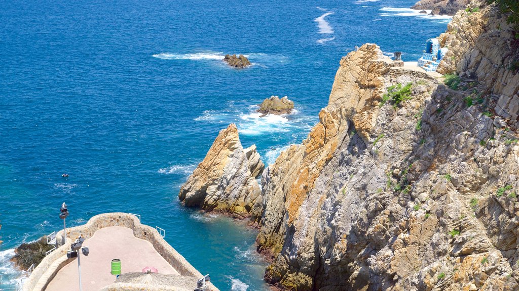 Acapulco showing views and rocky coastline