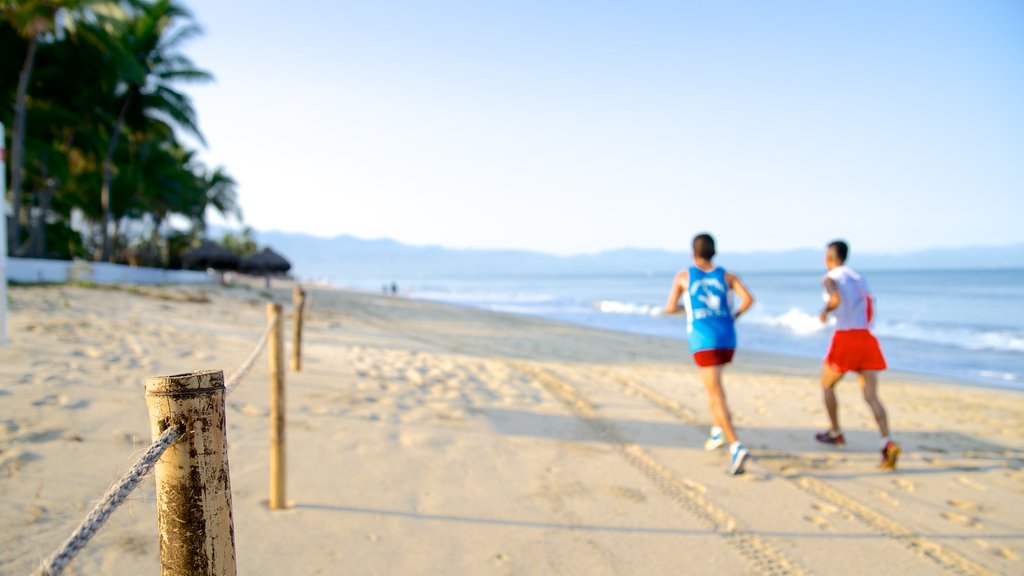 Playa Nuevo Vallarta que incluye una playa de arena