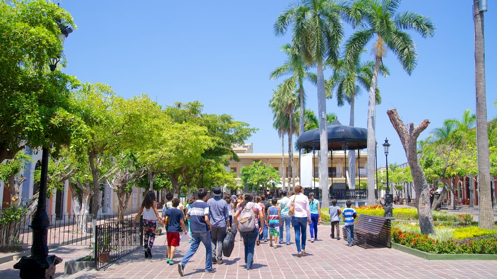 Plaza Machado which includes a park and a square or plaza as well as a large group of people