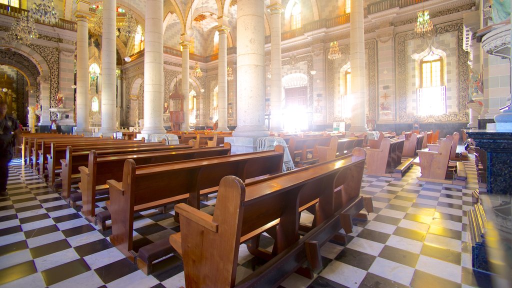 Catedral de la Inmaculada Concepción que incluye elementos religiosos, una iglesia o catedral y vista interna