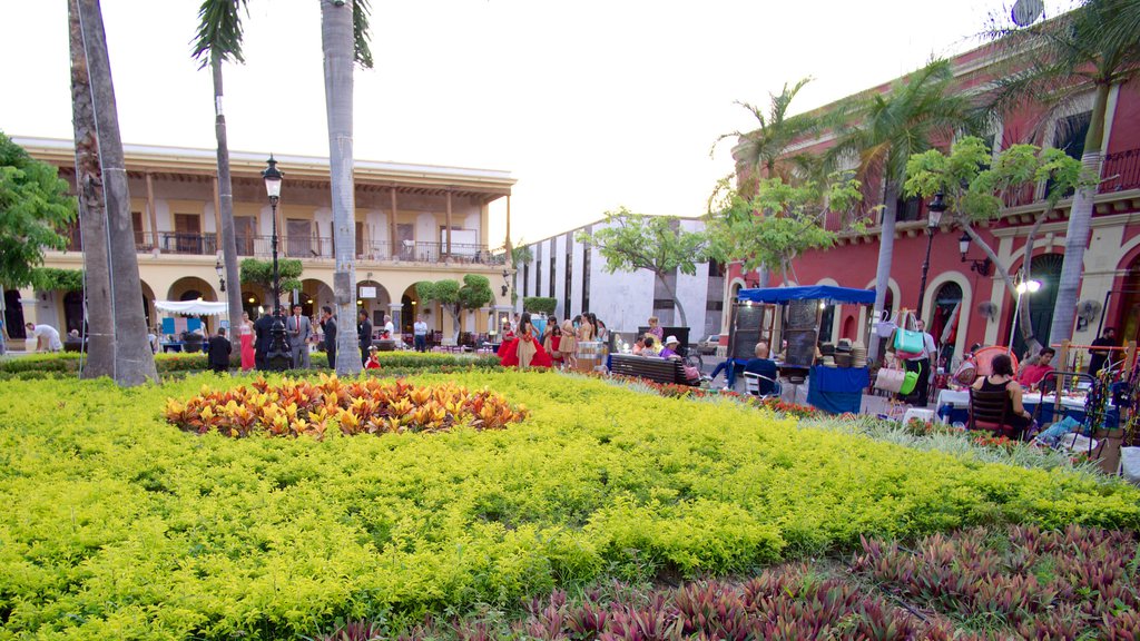 Plaza Machado som inkluderar en trädgård och ett torg