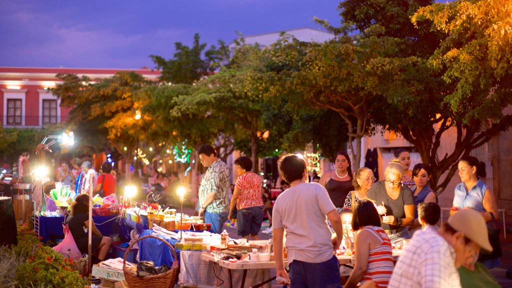 Plaza Machado which includes night scenes and markets as well as a small group of people