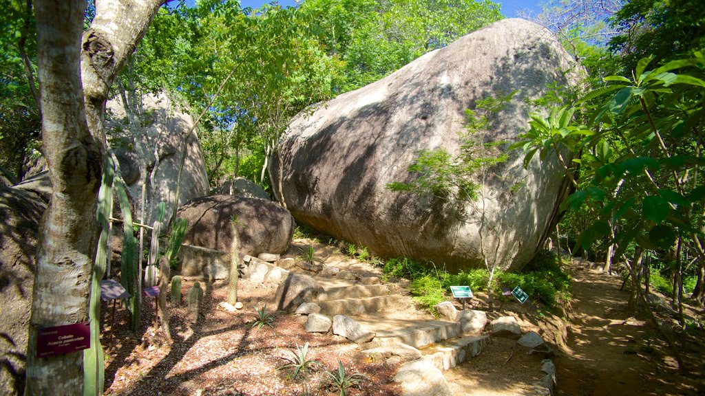 Jardín Botánico de Acapulco que incluye un jardín