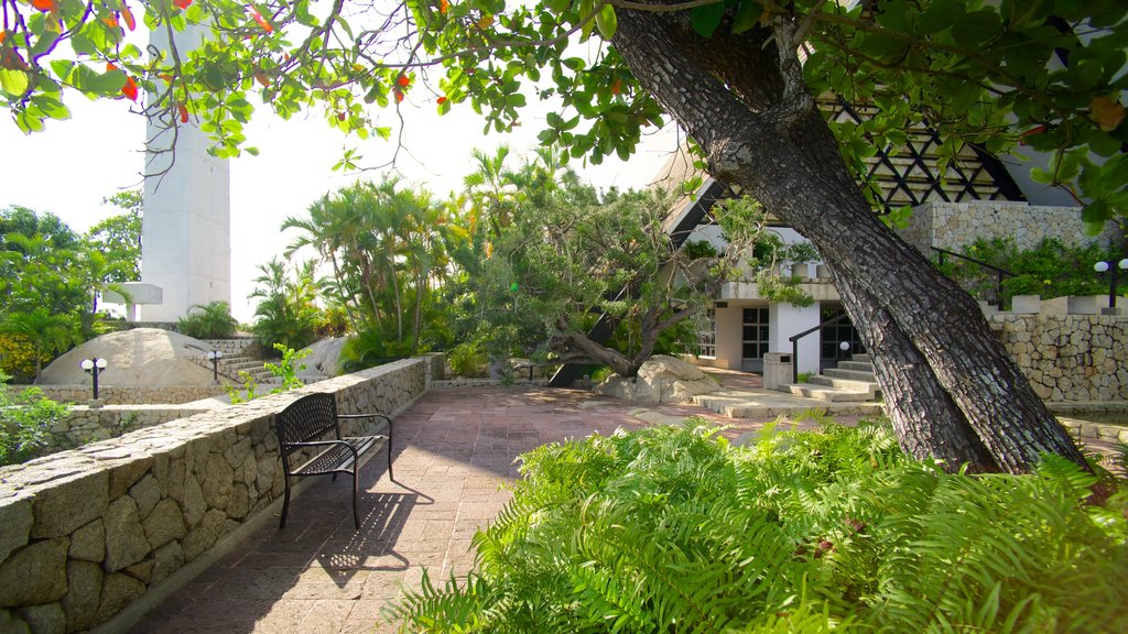 Capilla de la Paz showing a garden and a church or cathedral