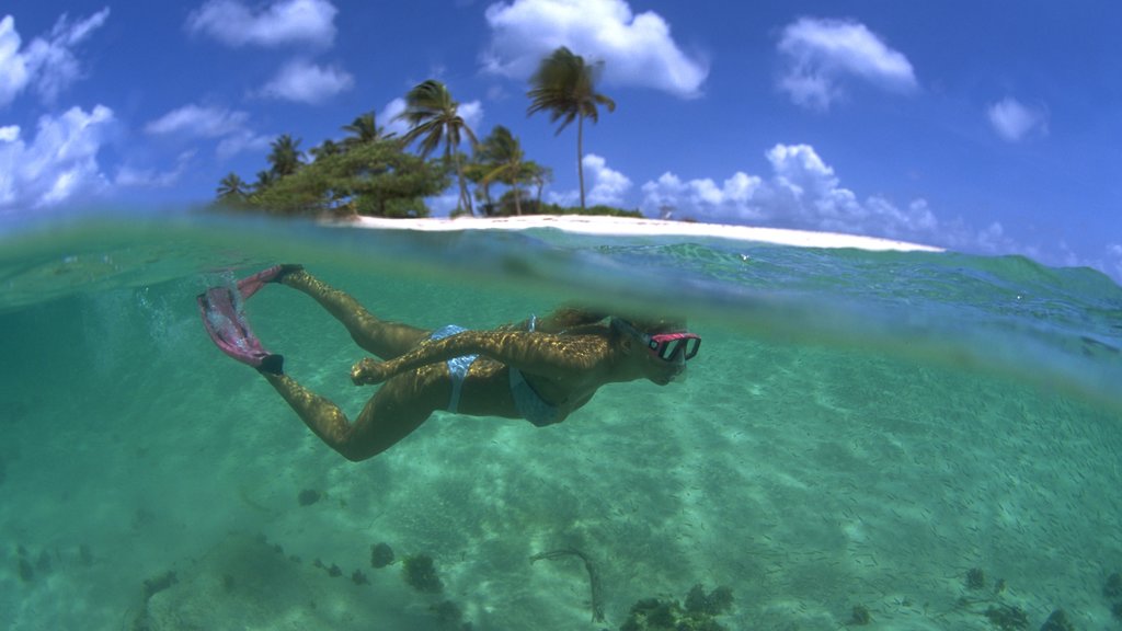 Grenada featuring a beach and snorkelling as well as an individual female