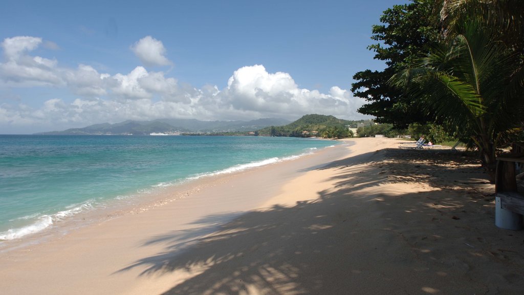 Grenada which includes a beach