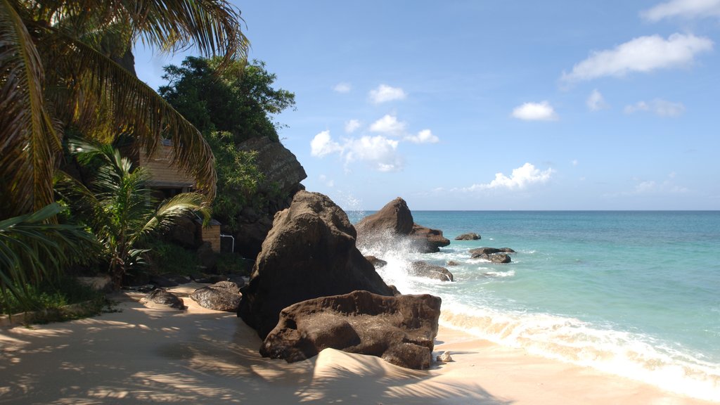 Grenada which includes a sandy beach and tropical scenes