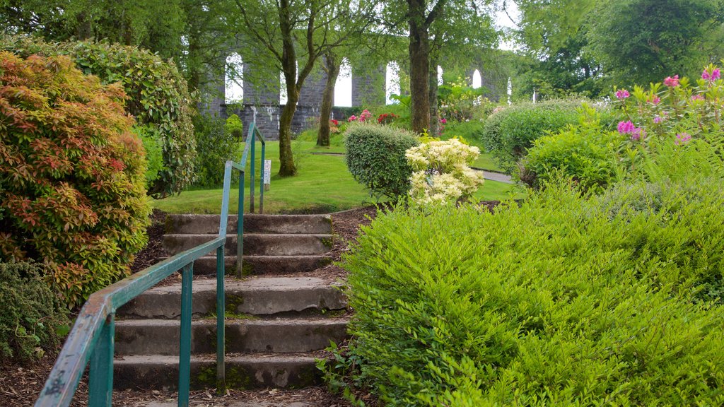 McCaig\'s Tower showing a garden