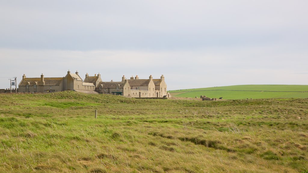 Skara Brae qui includes éléments du patrimoine, une petite ville ou un village et paysages paisibles