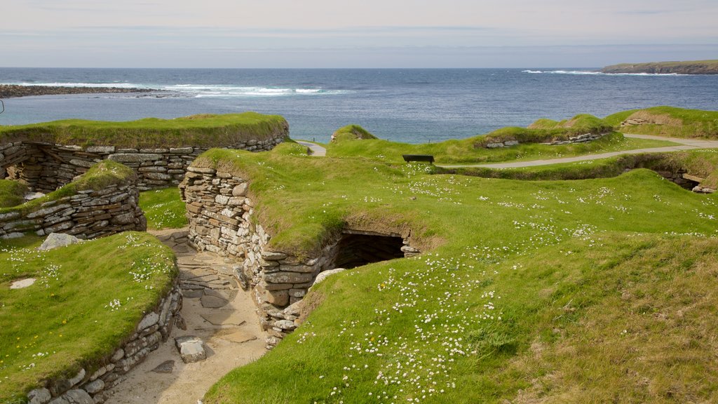 Skara Brae showing general coastal views, a bay or harbour and tranquil scenes