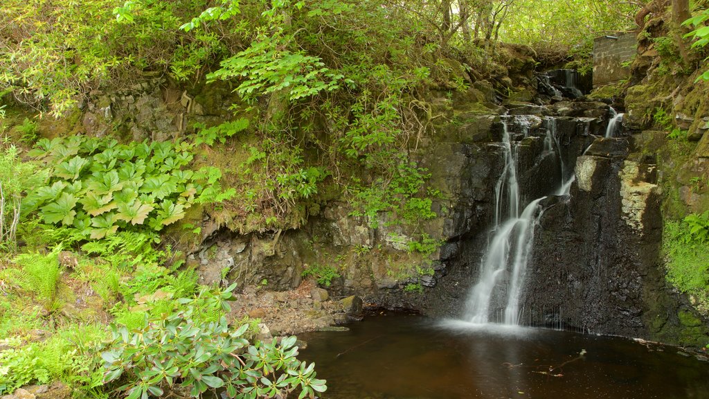 Dunvegan Castle showing a cascade and a pond