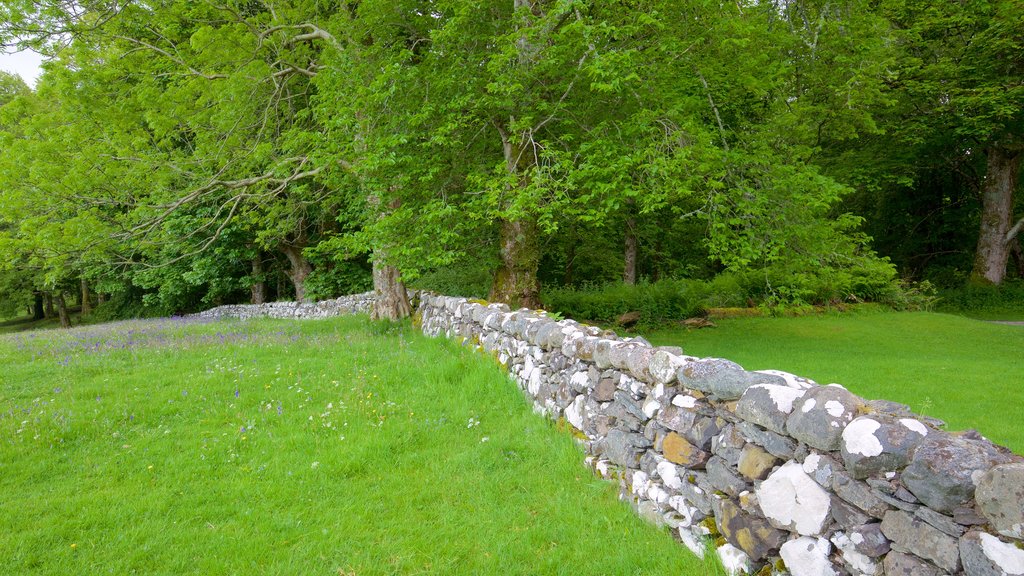 Castelo e Capela de Dunstaffnage que inclui cenas tranquilas