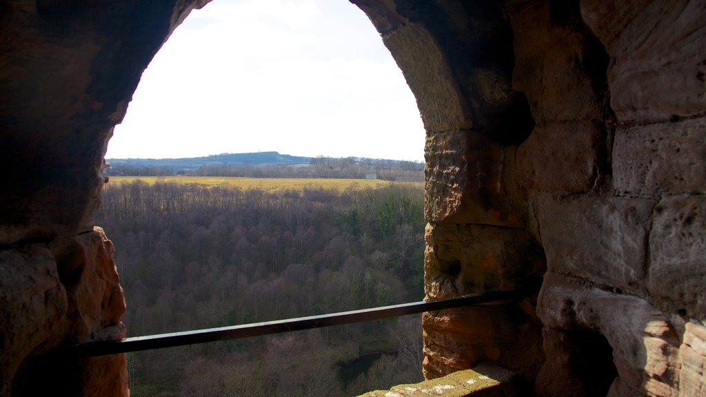 Bothwell Castle showing heritage elements, a ruin and château or palace