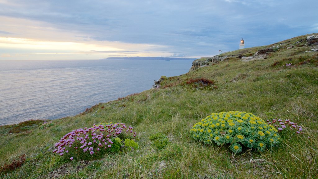 Dunnet Head Lighthouse som omfatter vilde blomster, et fyrtårn og barsk kystlinje