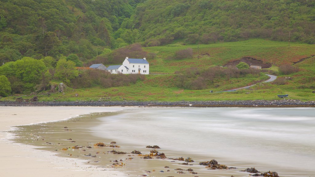 Calgary Bay Beach featuring tranquil scenes, general coastal views and a beach