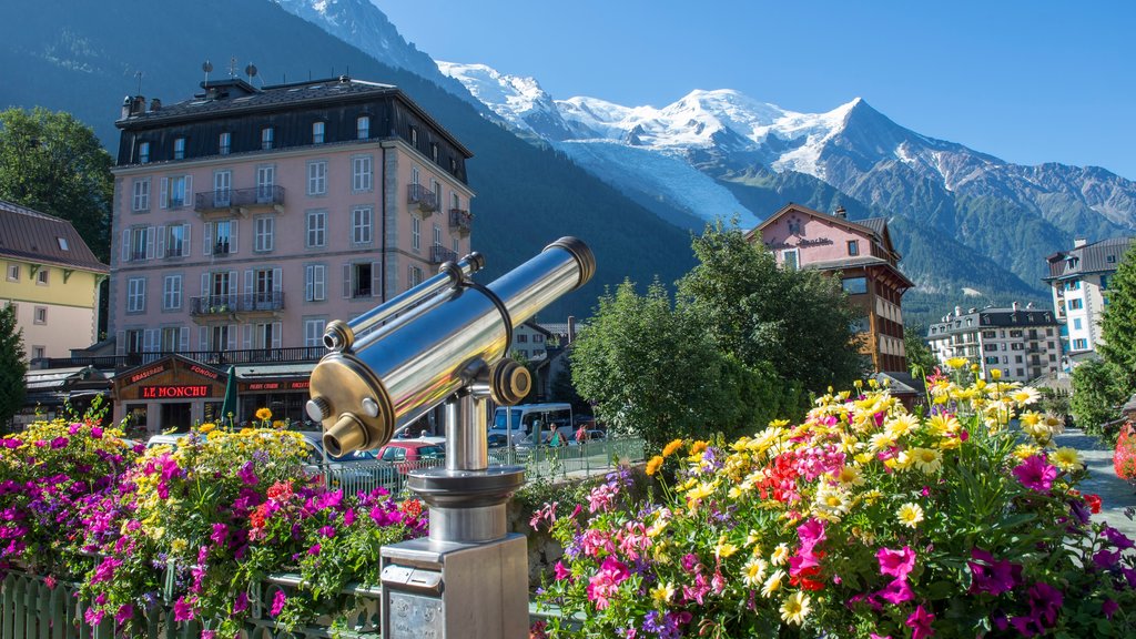 Chamonix-Mont-Blanc caracterizando paisagens, montanhas e flores