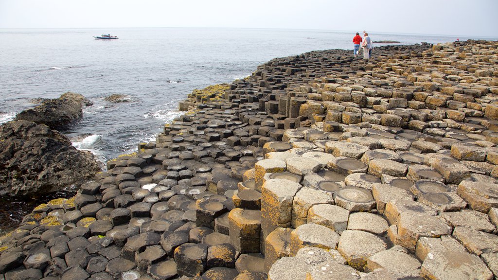 Giant\'s Causeway ofreciendo vista general a la costa, costa rocosa y elementos patrimoniales