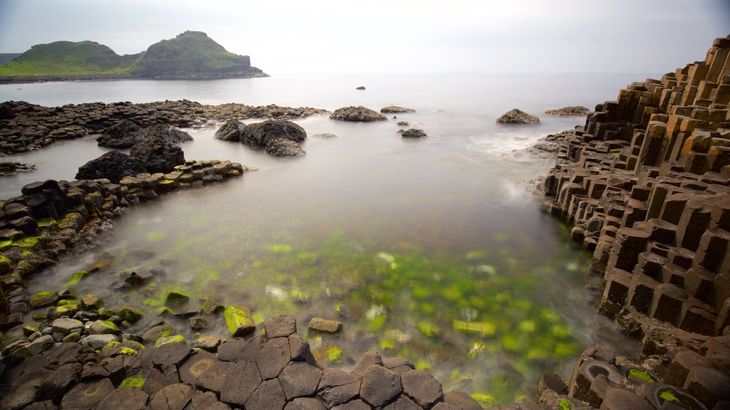 Giant\'s Causeway mostrando elementos de patrimônio, um monumento e paisagens litorâneas