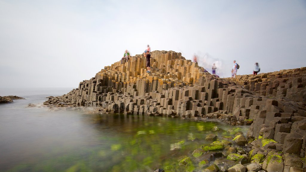 Giant\'s Causeway showing a monument, heritage elements and general coastal views