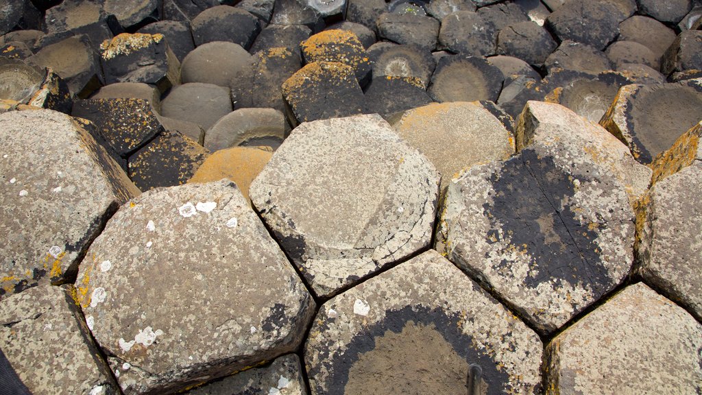 Giant\'s Causeway caracterizando um monumento e elementos de patrimônio