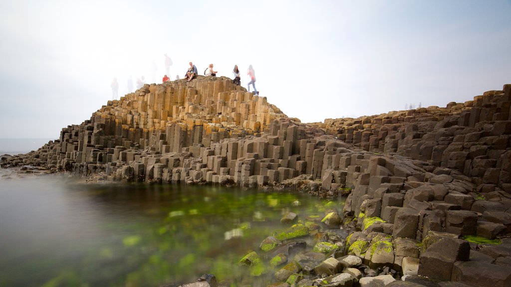 Giant\'s Causeway featuring heritage elements, a monument and rocky coastline