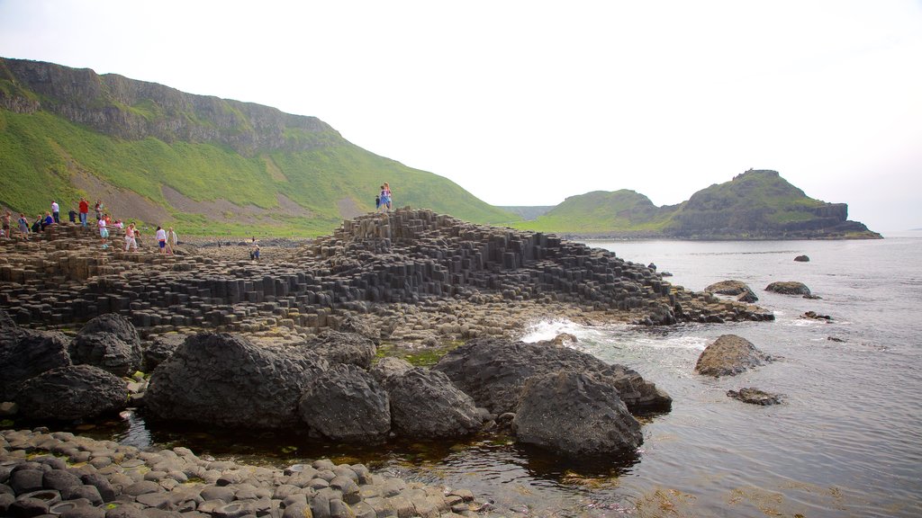 Giant\'s Causeway ofreciendo un monumento, elementos patrimoniales y vista general a la costa