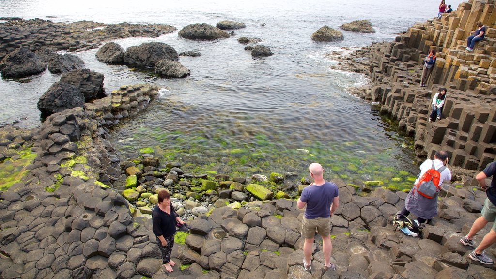 Giant\'s Causeway featuring a monument, heritage elements and rugged coastline