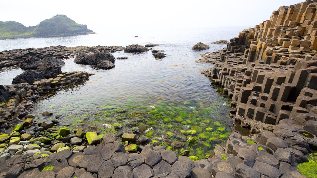 Giant\'s Causeway showing general coastal views, a monument and heritage elements