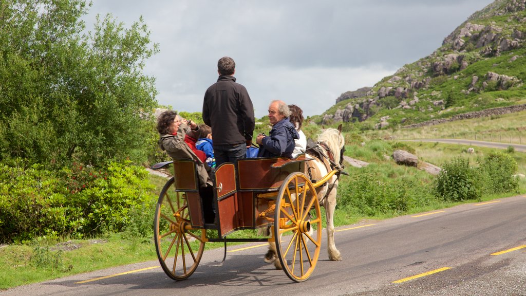 Killarney showing horse riding as well as a small group of people