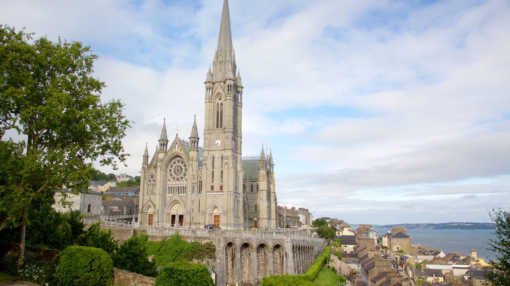 St. Colman\'s Cathedral mit einem Kirche oder Kathedrale, religiöse Elemente und Geschichtliches