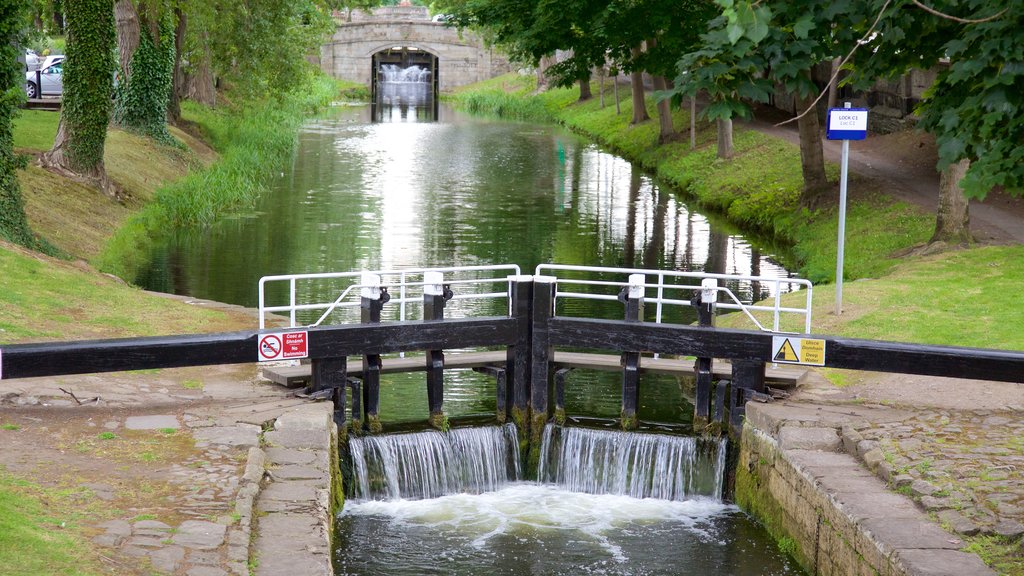 Grand Canal which includes a park and a river or creek