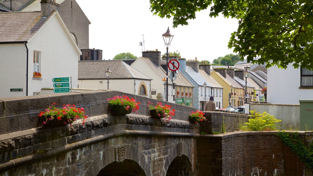 Westport showing heritage architecture, a bridge and flowers