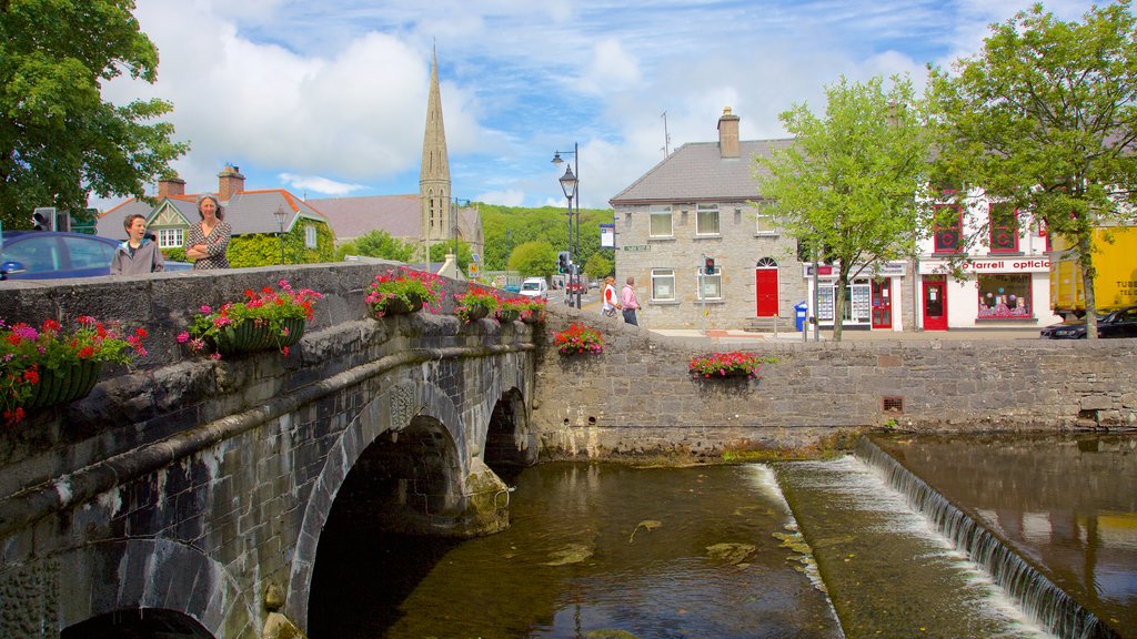 Westport showing heritage architecture, flowers and heritage elements