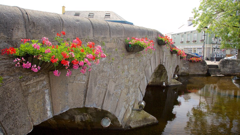 Westport showing a bridge, heritage elements and heritage architecture