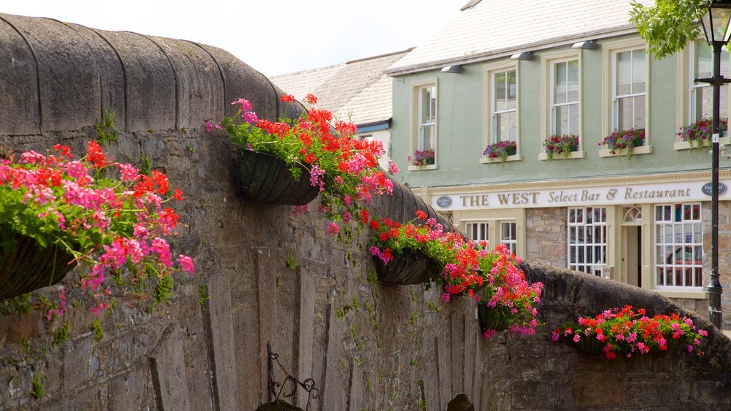 Westport showing a bridge, heritage architecture and heritage elements