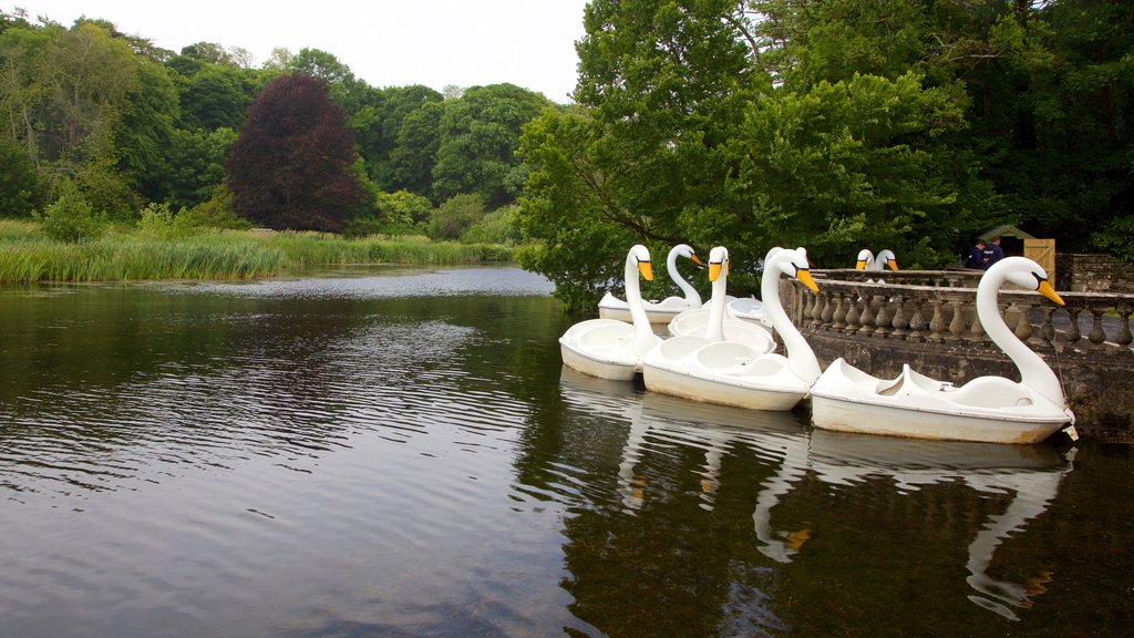 Westport House which includes water sports and a river or creek