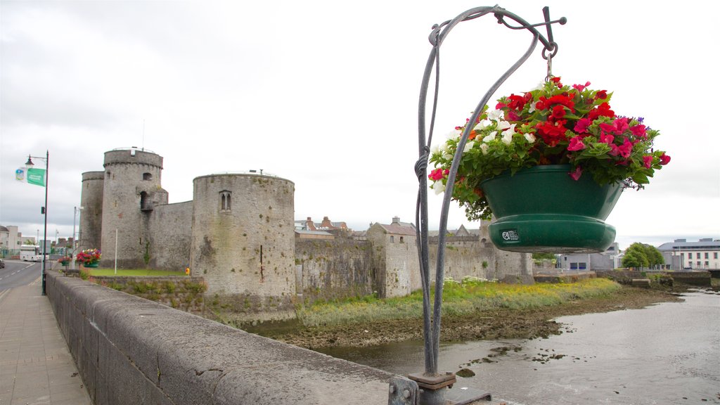 Limerick showing flowers, a river or creek and a castle