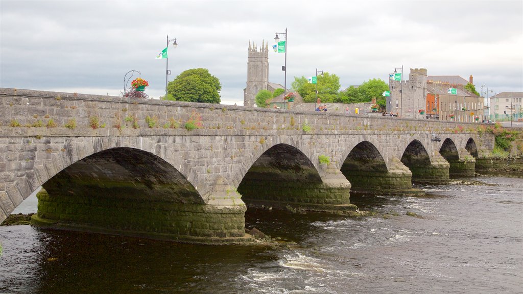 Limerick showing a bridge, heritage elements and a church or cathedral