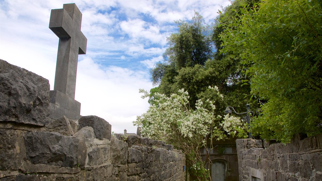 St. Mary\'s Cathedral showing heritage elements, religious elements and a cemetery