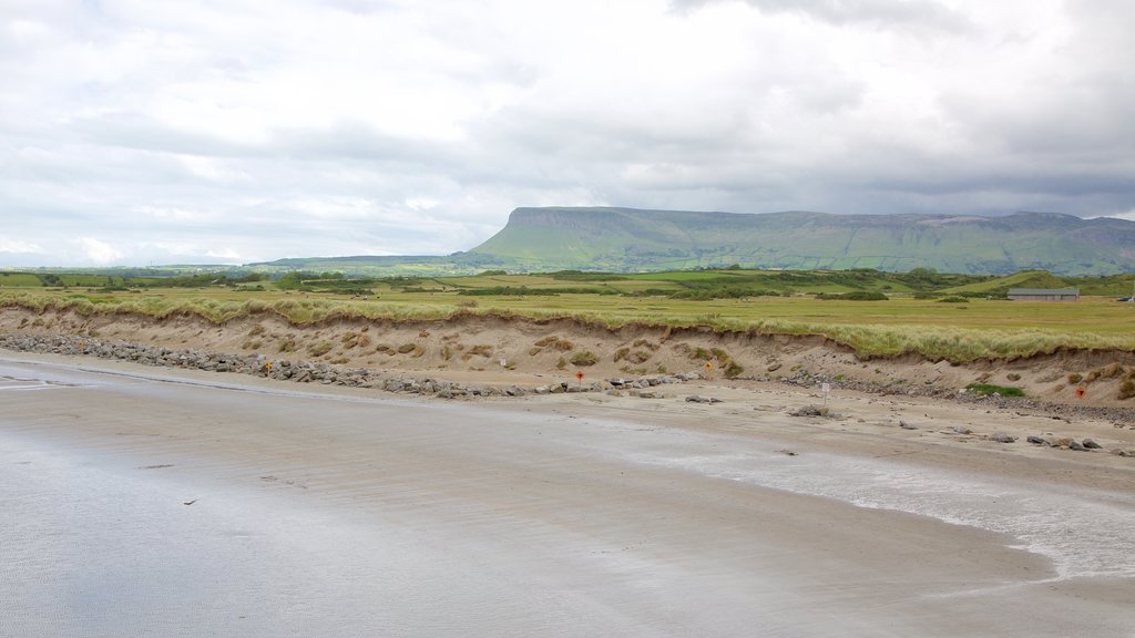 Rosses Point which includes tranquil scenes, general coastal views and a beach