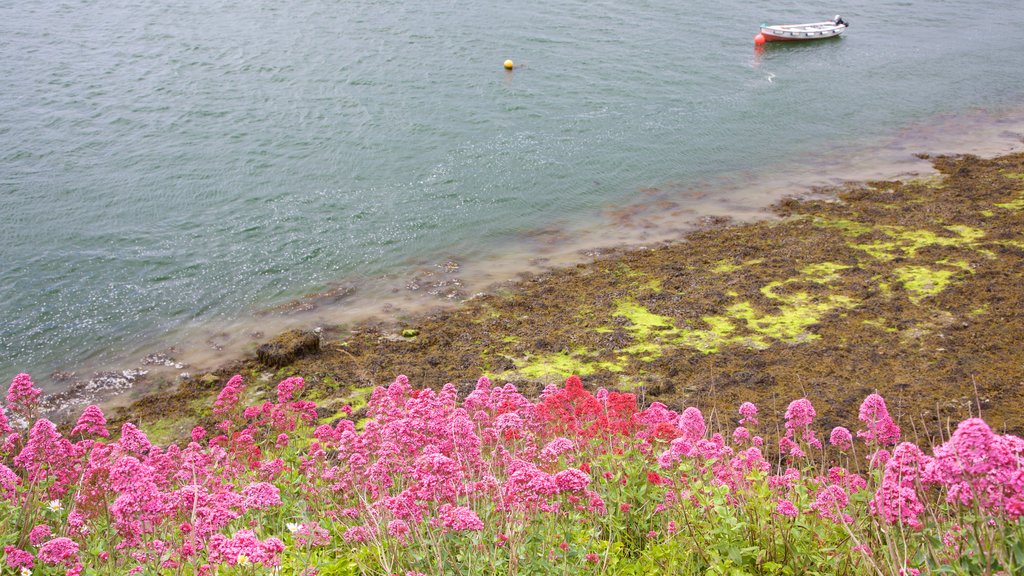 Rosses Point que incluye flores, un lago o espejo de agua y flores silvestres