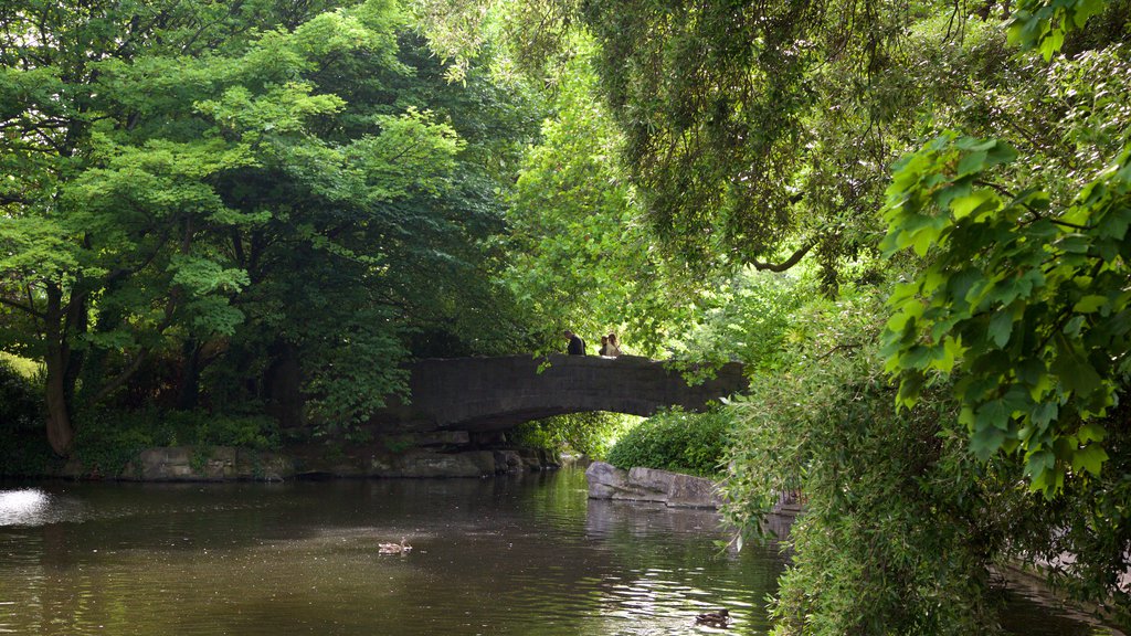 St. Stephen\'s Green mostrando un estanque, un jardín y un puente