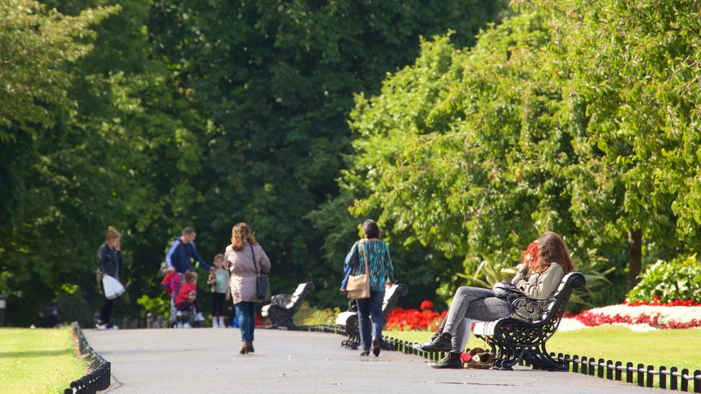 Phoenix Park featuring a garden as well as a small group of people