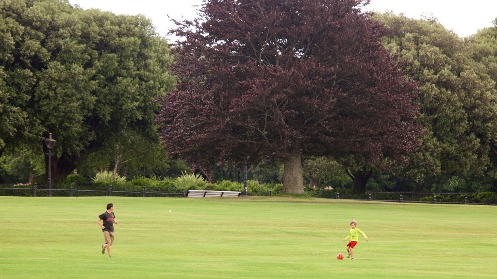 Phoenix Park featuring a garden as well as a small group of people