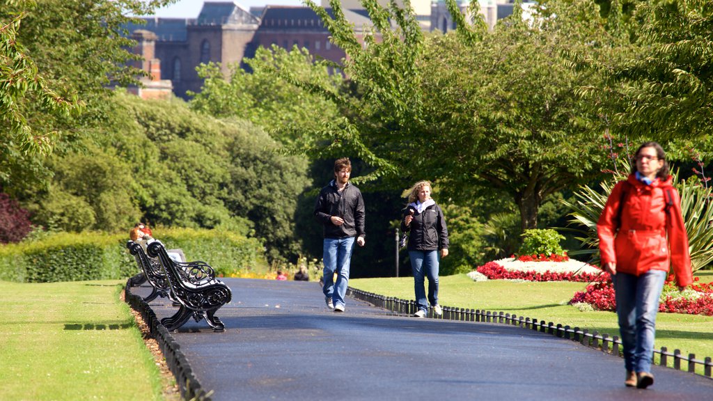 Phoenix Park showing a garden as well as a small group of people