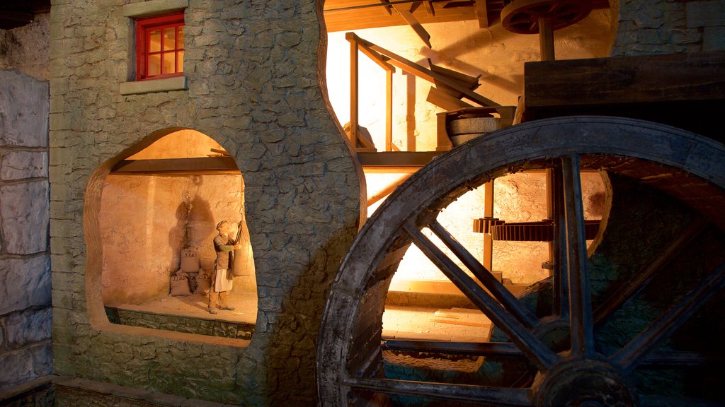 Old Jameson Distillery showing interior views and heritage elements