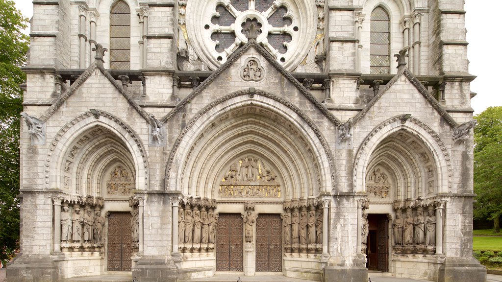 St Fin Barre\'s Cathedral que inclui arquitetura de patrimônio, uma igreja ou catedral e elementos de patrimônio